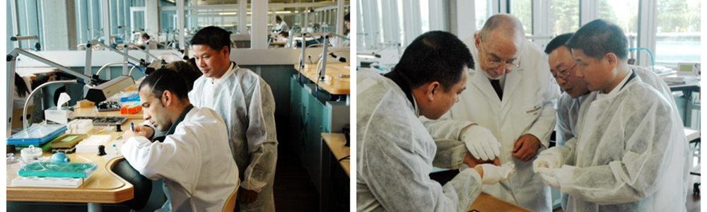 雷諾董事長詹西洲考察江詩丹頓